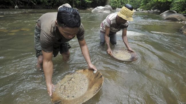 tertib ketika mendulang emas